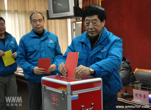 皖南電機(jī)陳根喜、管兵在投票現(xiàn)場